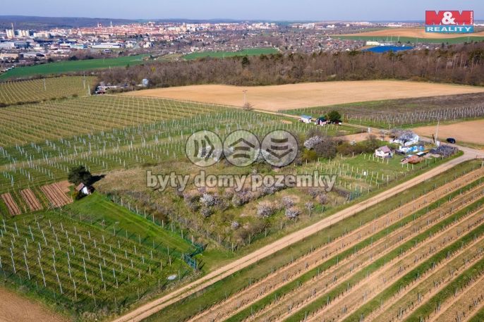 Prodej, Zahrada, Dobšice