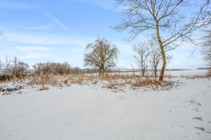 Prodej, Zahrada, Pchery