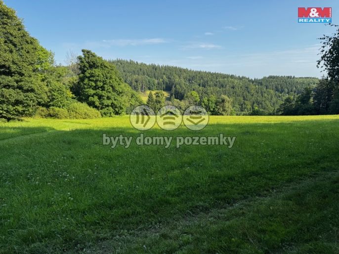 Prodej, Louka, Kořenov