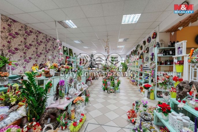 Pronájem, Obchod a služby, Třemošná