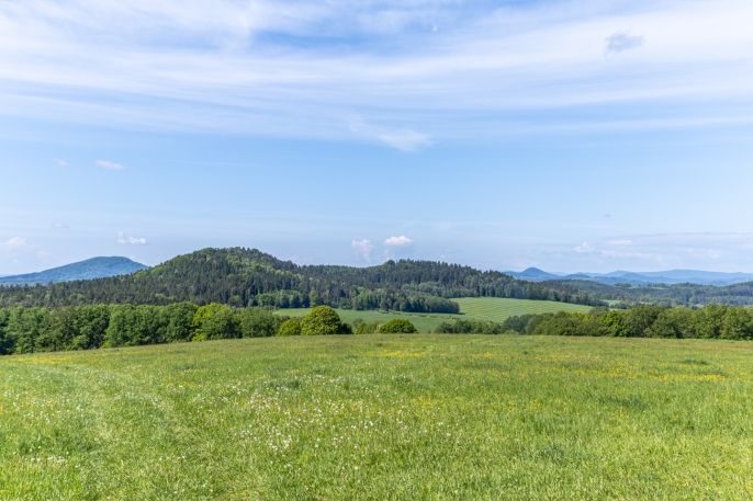 Prodej, Rodinný dům, Křižany