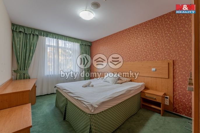 Prodej, Hotel, penzion, Frýdek-Místek