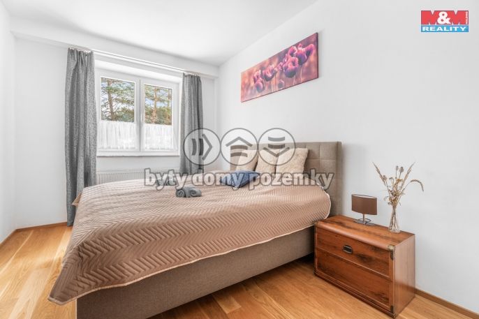 Prodej, Hotel, penzion, Borušov