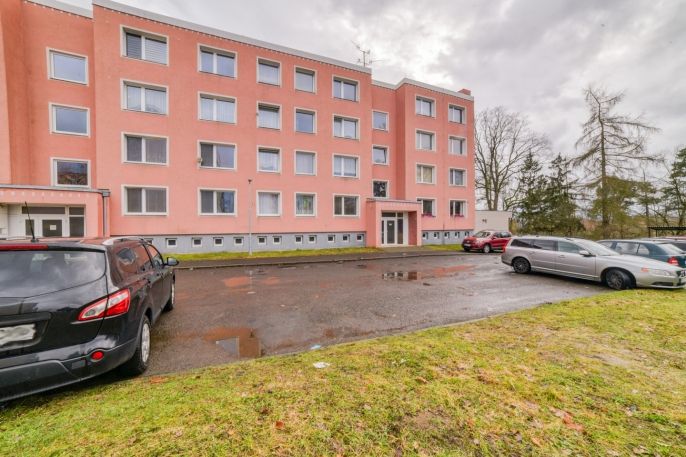 Prodej, Byt 1+1, Planá