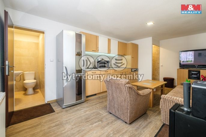 Prodej, Výrobní objekt, Březová