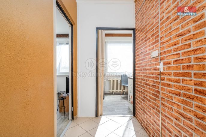 Pronájem, Byt 1+1, Rokytnice v Orlických horách