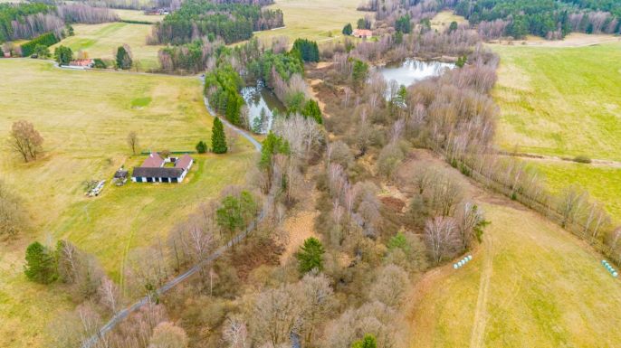 Prodej, Vodní plocha, Dvory nad Lužnicí