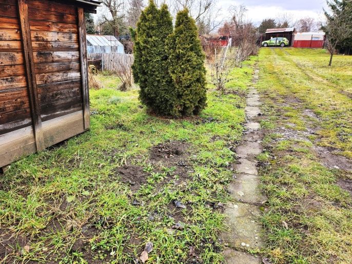 Prodej, Zahrada, Louny