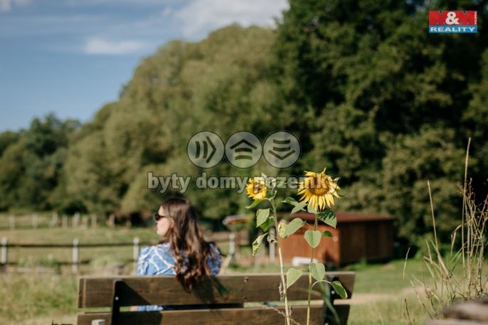 Prodej, Komerční pozemky, Sušice