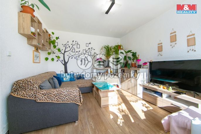 Prodej, Byt 3+1, Toužim