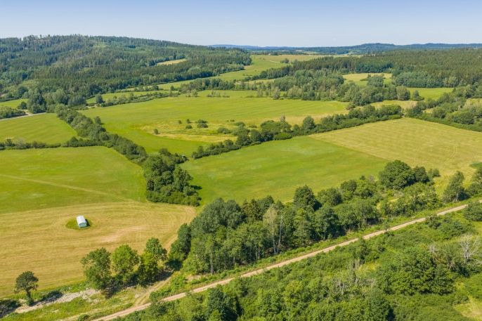 Prodej, Louka, Nové Mitrovice