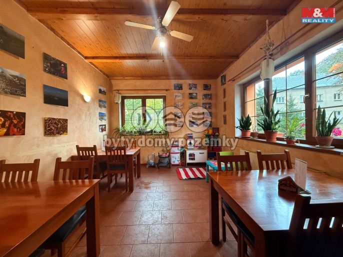 Pronájem, Hotel, penzion, Vilémov