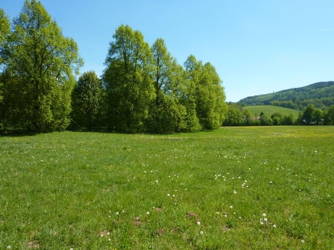 Prodej, Louka, Náchod