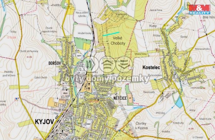 Prodej, Vinice, Kyjov