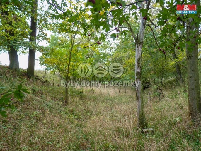 Prodej, Les, Drahobuz