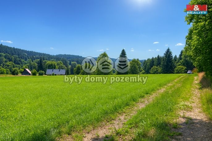 Prodej, Louka, Kořenov