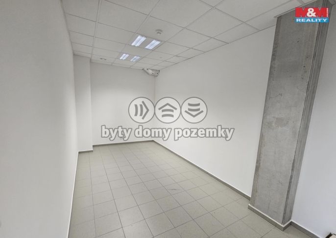 Pronájem, Kancelářský prostor, Nupaky