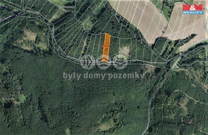 Prodej, Les, Vranová Lhota