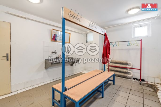 Prodej, Výrobní objekt, Štětí