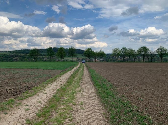 Prodej, Pole, Voděrady