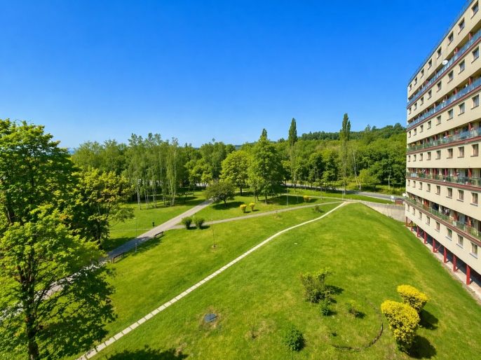 Prodej, Byt 2+1, Litvínov