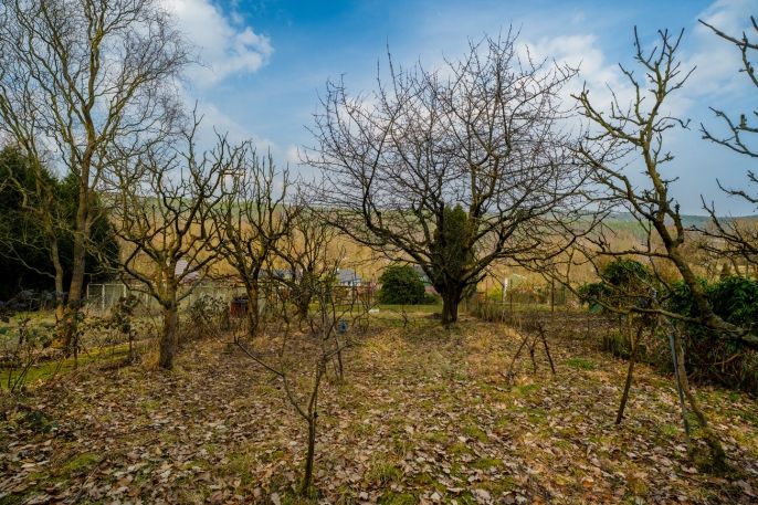 Prodej, Zahrada, Děčín