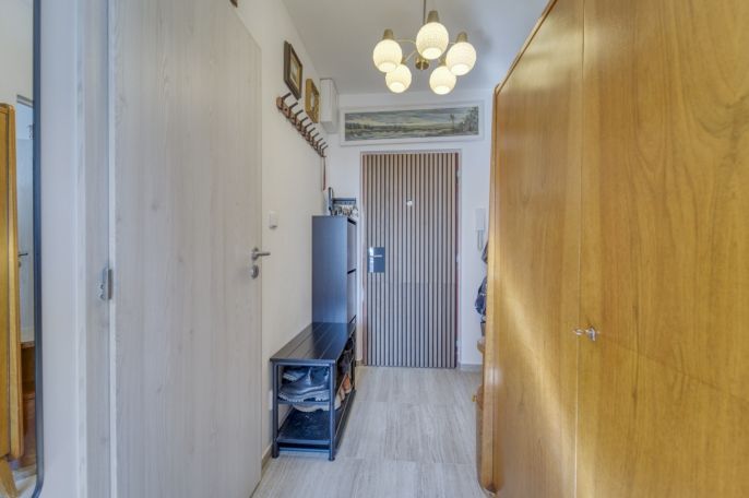 Prodej, Byt 1+1, Plzeň