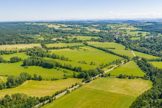 Prodej, Louka, Nové Mitrovice