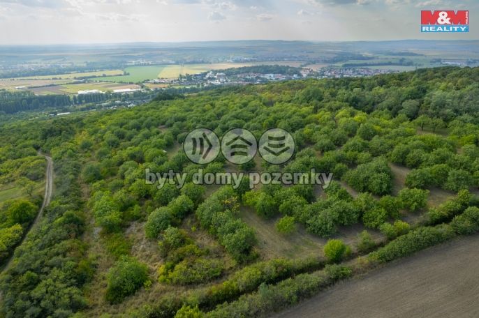 Prodej, Ovocný sad, Židlochovice