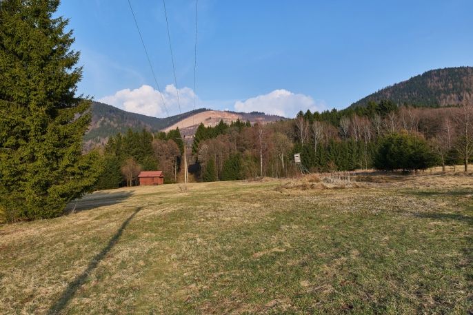 Prodej, Ostatní, Královec