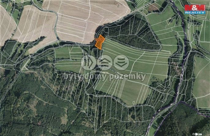 Prodej, Les, Vranová Lhota