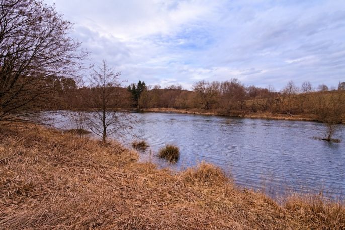 Prodej, Vodní plocha, Křečovice