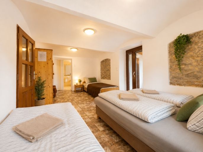 Prodej, Hotel, penzion, Nová Pec