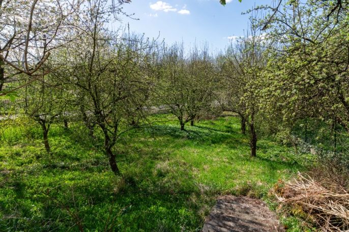 Prodej, Atypický byt, Orlová