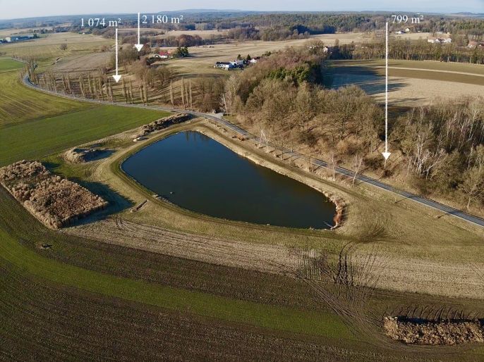 Prodej, Pole, Bošín