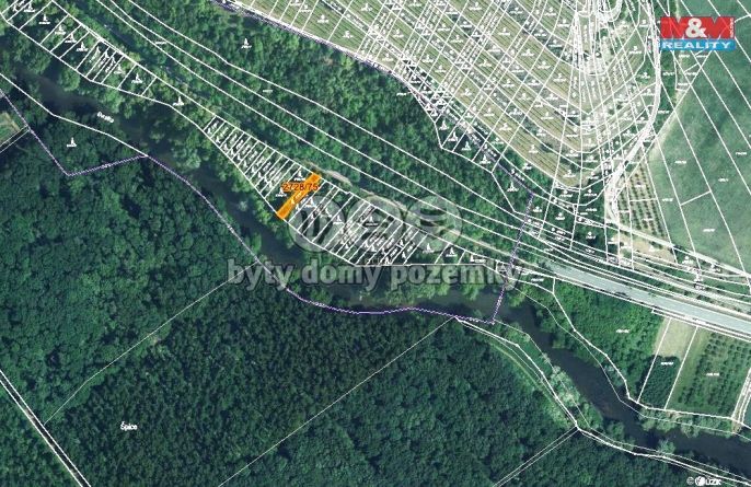 Prodej, Les, Židlochovice