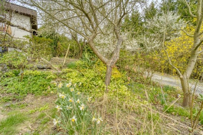 Prodej, Pozemek k bydlení, Klatovy