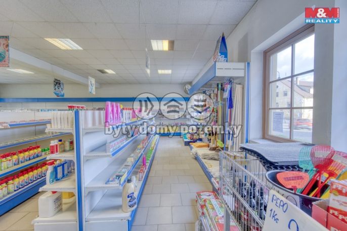 Pronájem, Obchod a služby, Bor