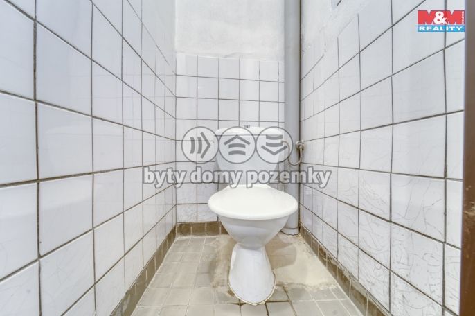 Prodej, Rodinný dům, Planá