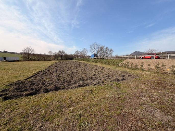 Prodej, Pole, Jenčice