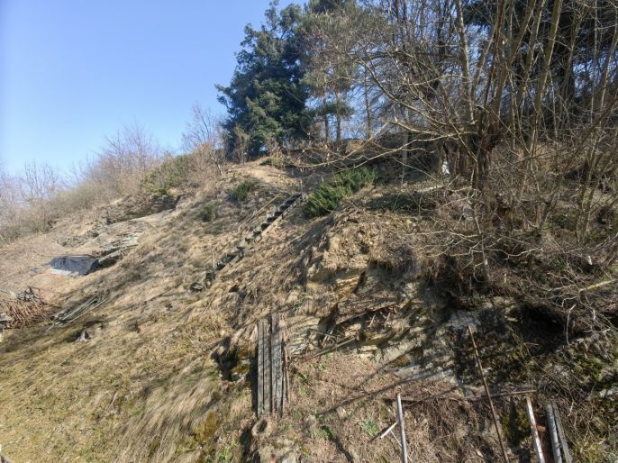 Prodej, Rodinný dům, Okřesaneč