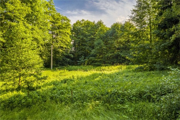 Prodej, Louka, Hodkovice nad Mohelkou