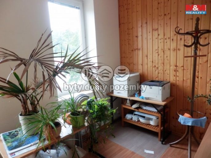 Prodej, Obchod a služby, Kraslice