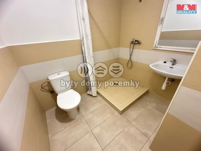 Pronájem, Byt 1+kk, Mladá Boleslav