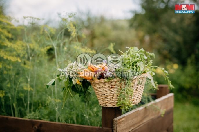 Prodej, Komerční pozemky, Sušice