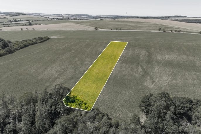 Prodej, Pole, Louňová