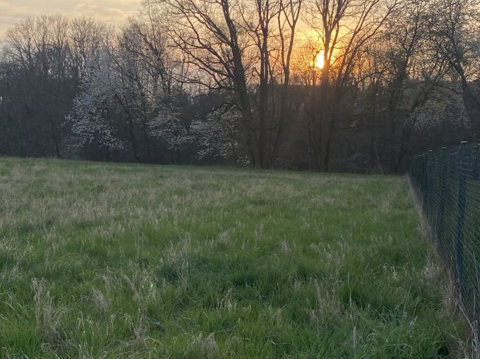 Prodej, Pozemek k bydlení, Dobruška