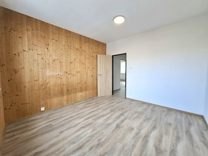 Pronájem, Byt 3+1, Ostrov