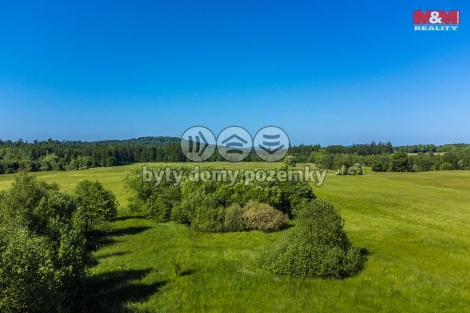 Prodej, Pole, Krásná Lípa