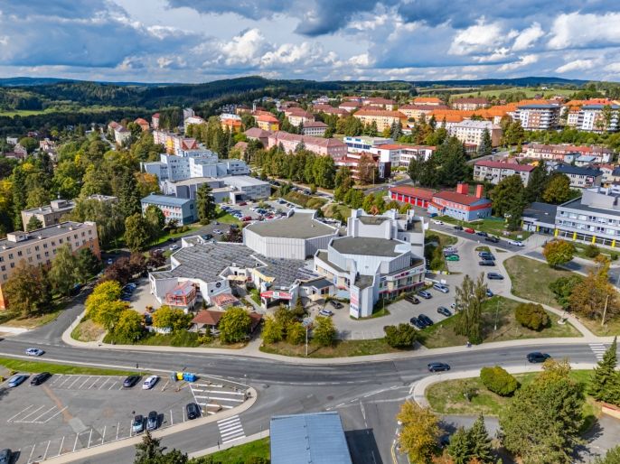 Pronájem, Obchod a služby, Tachov